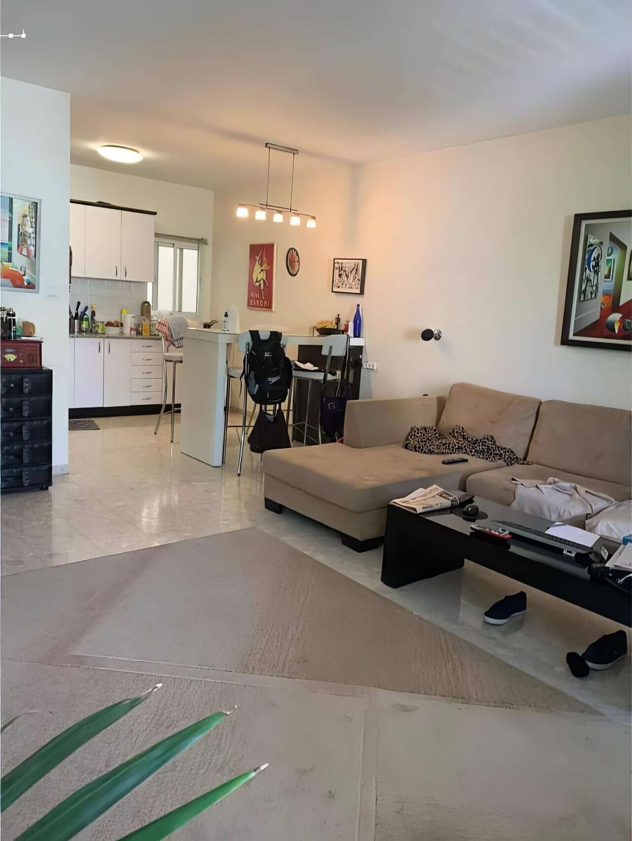 בבלעדיות-ברח-פקיעין-בצפון-הישן-דירת-3-חדרים-3