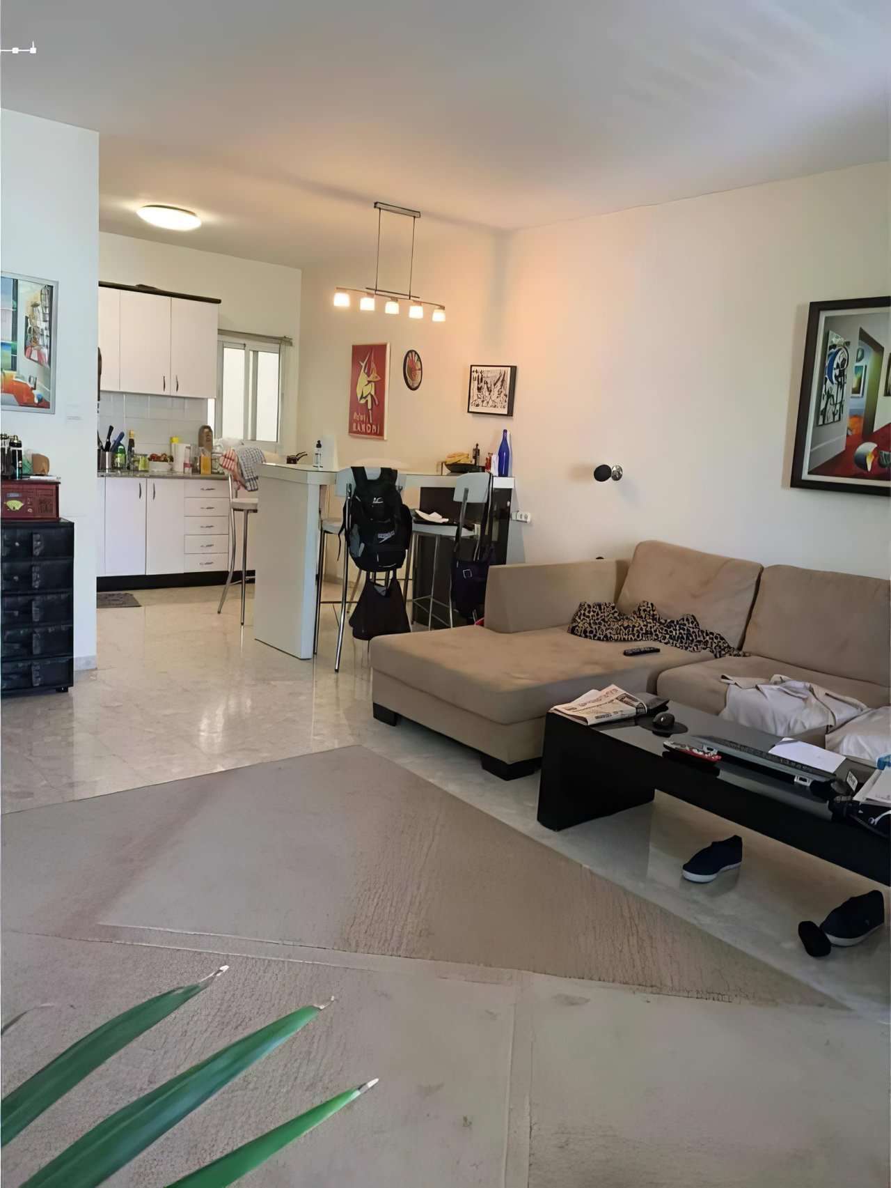 בבלעדיות-ברח-פקיעין-בצפון-הישן-דירת-3-חדרים